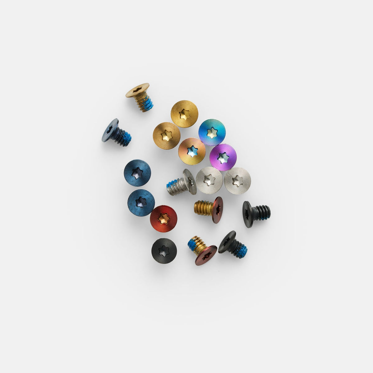 Screw Set - Silver Screws