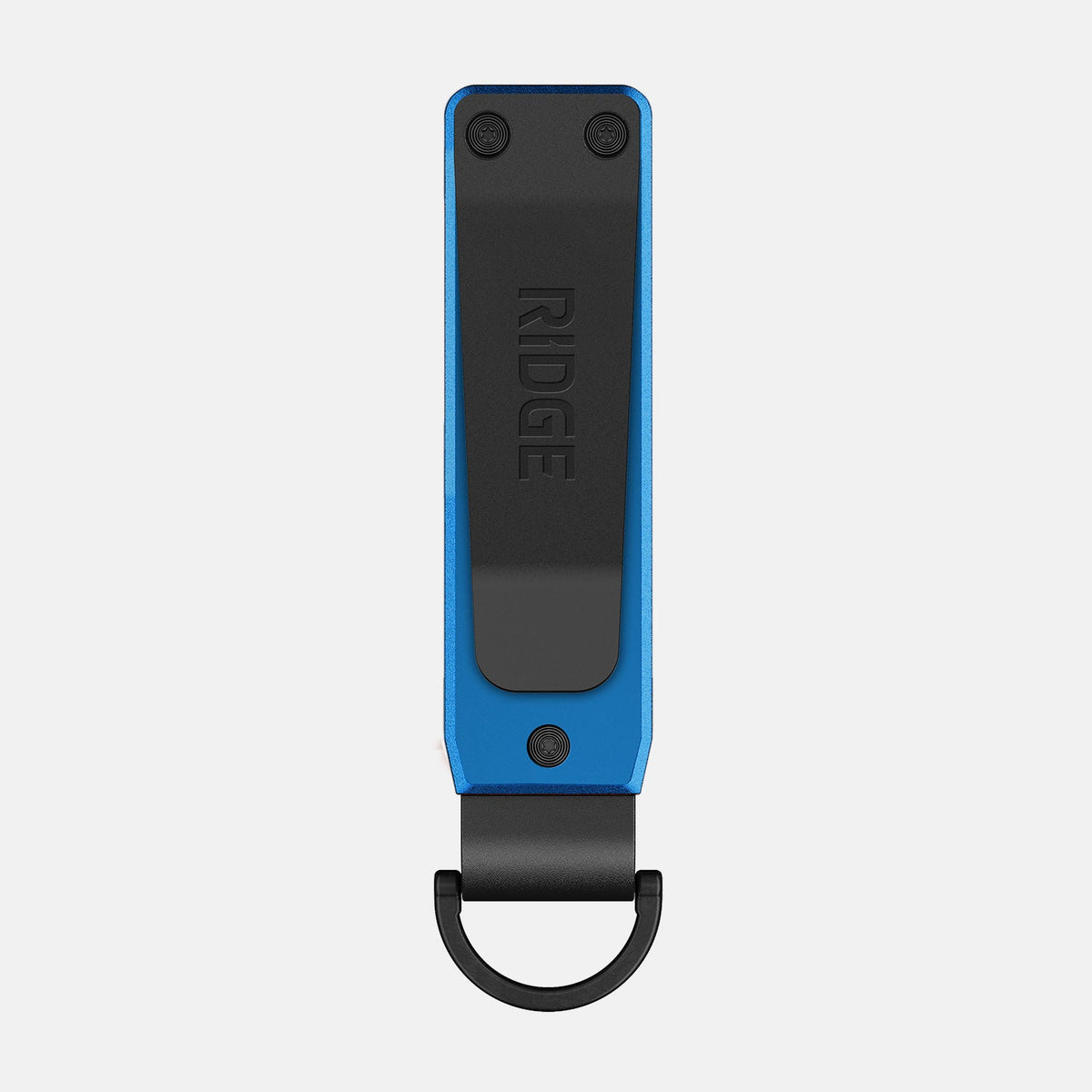 Ridge KeyCase - Detroit Lions